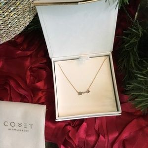 Stella&Dot Covet necklace